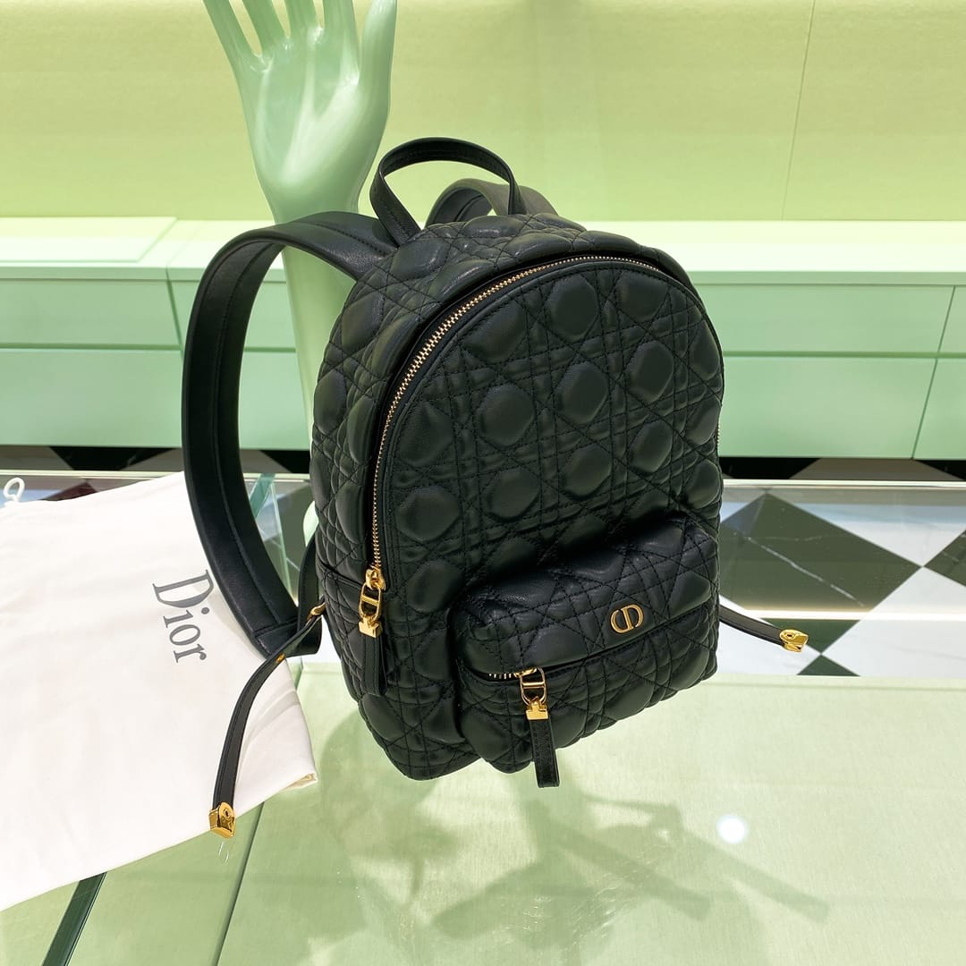 Backpack Dior P73738520118.4