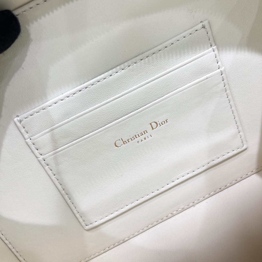 Camera Bag Dior P398766088.44