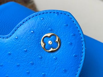 Capucines 27cm Louis Vuitton M48865