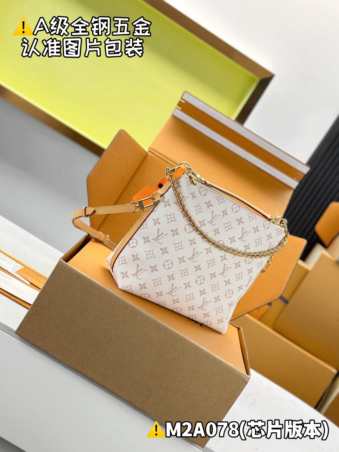Multipass M2A078 Louis Vuitton M2A078