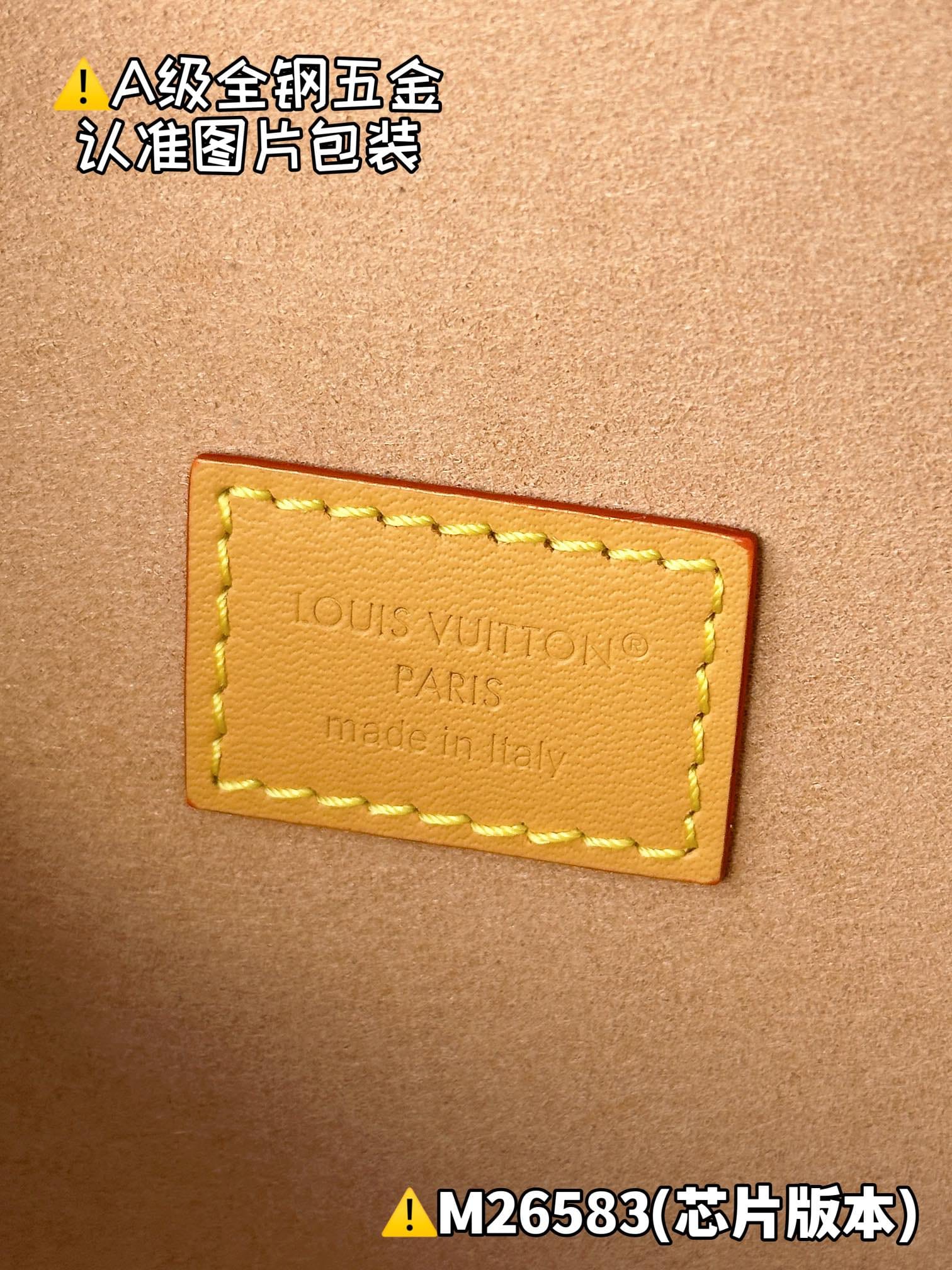 Pochette Camille M26583 Louis Vuitton M26583
