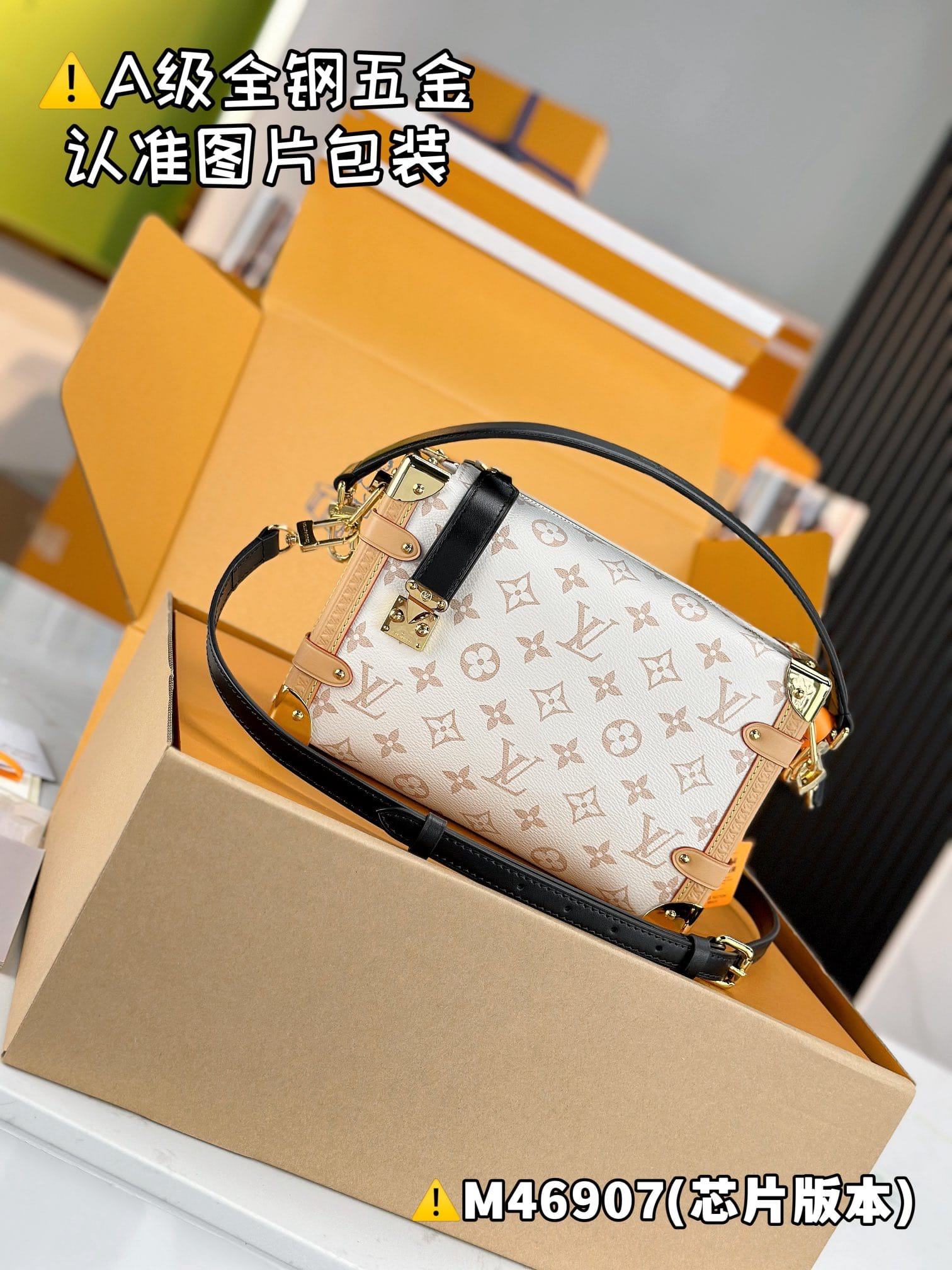 Side Trunk M46907 Louis Vuitton M46907