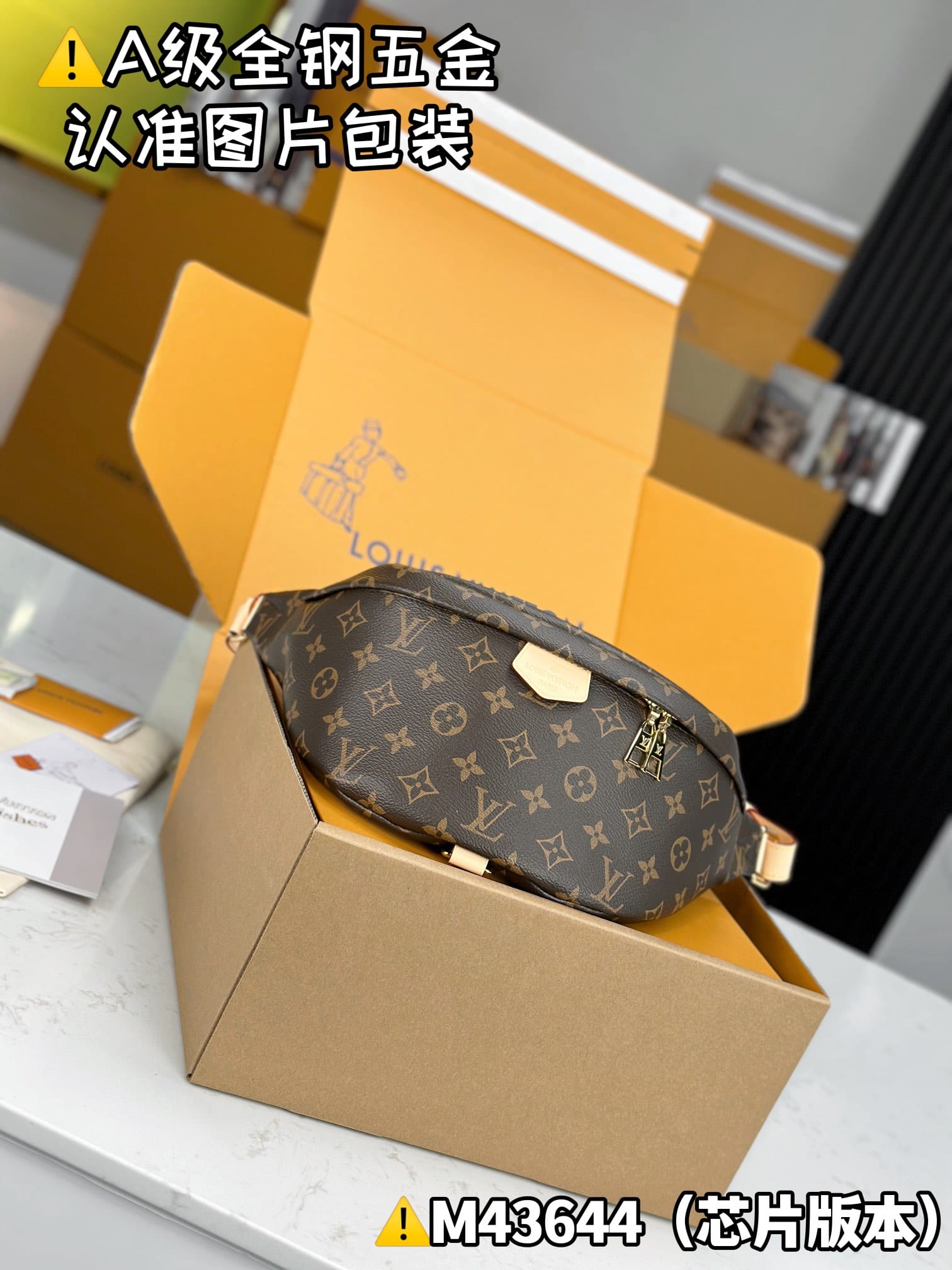 Bumbag M43644 Louis Vuitton M43644