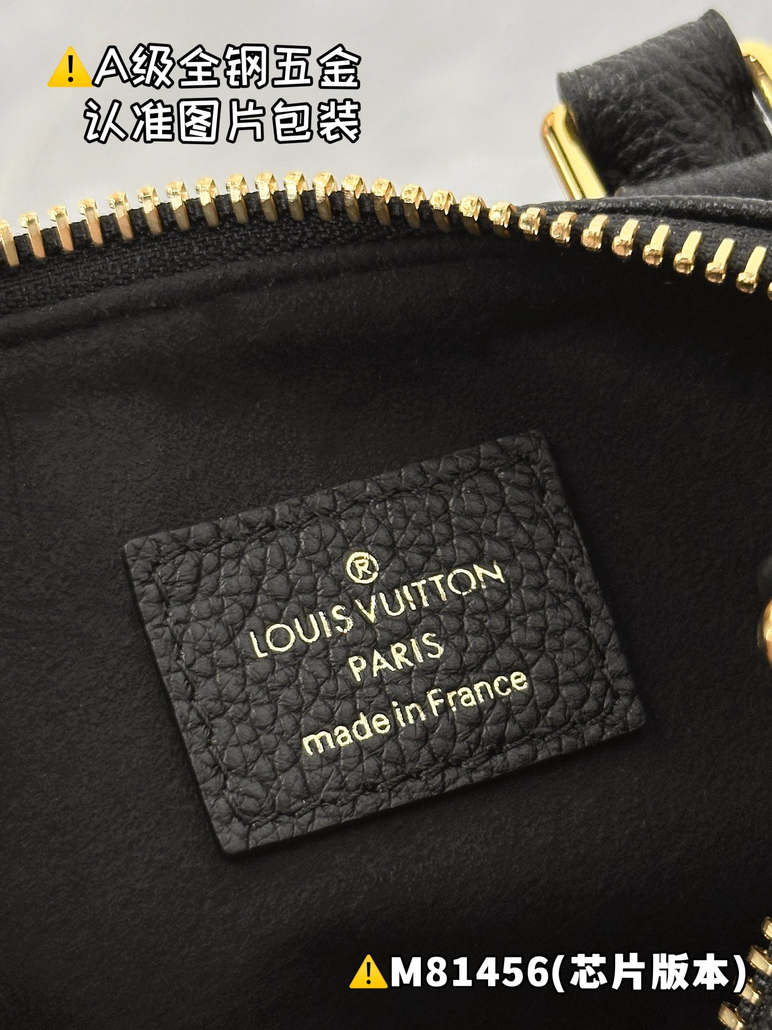 Nano Speedy M81456 Louis Vuitton M81456