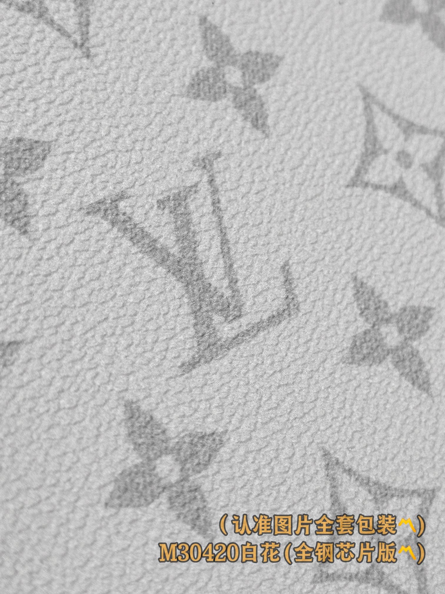 Louis Vuitton M30423.1 Louis Vuitton M30423.1