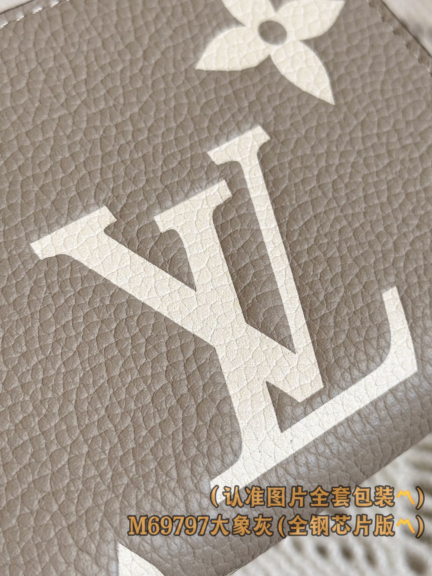 Wallet M69797 Louis Vuitton M69797