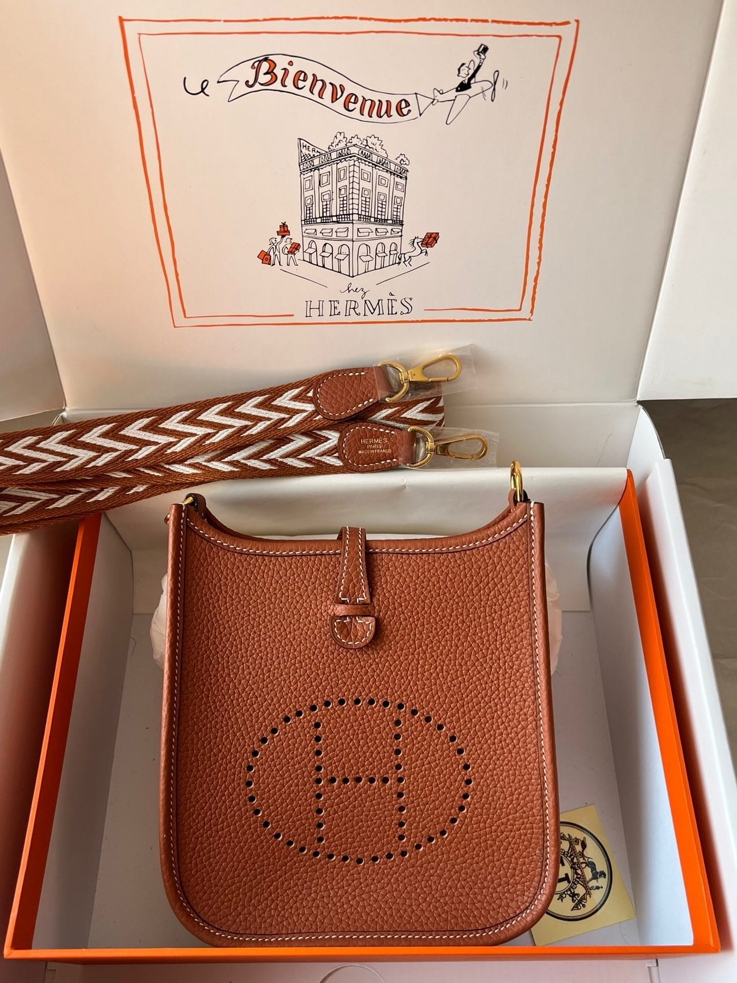 𝖬𝗂𝗇𝗂 𝖤𝗏𝖾𝗅𝗒𝗇𝖾 17𝖢𝗆 Hermes 16