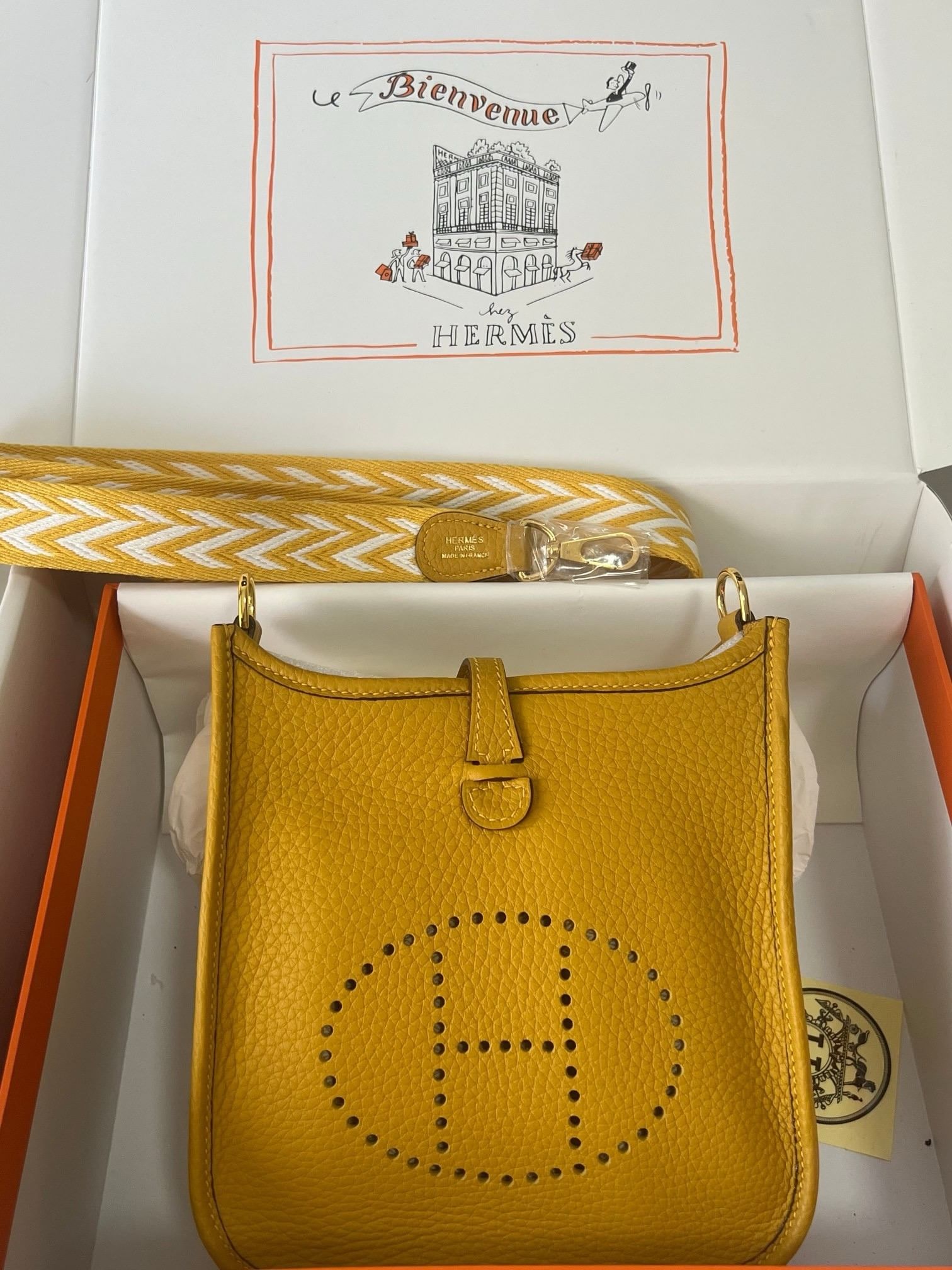 𝖬𝗂𝗇𝗂 𝖤𝗏𝖾𝗅𝗒𝗇𝖾 17𝖢𝗆 Hermes 9