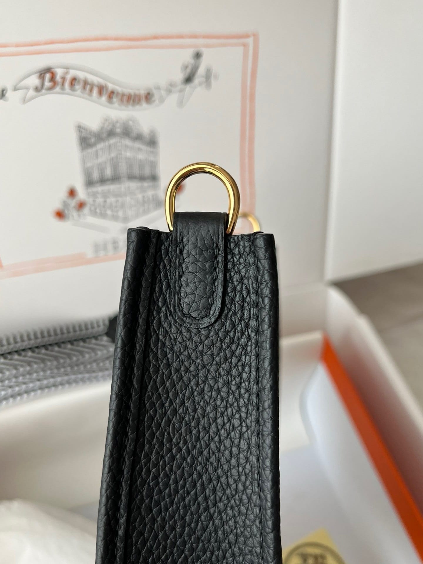 𝖬𝗂𝗇𝗂 𝖤𝗏𝖾𝗅𝗒𝗇𝖾 17𝖢𝗆 Hermes 5