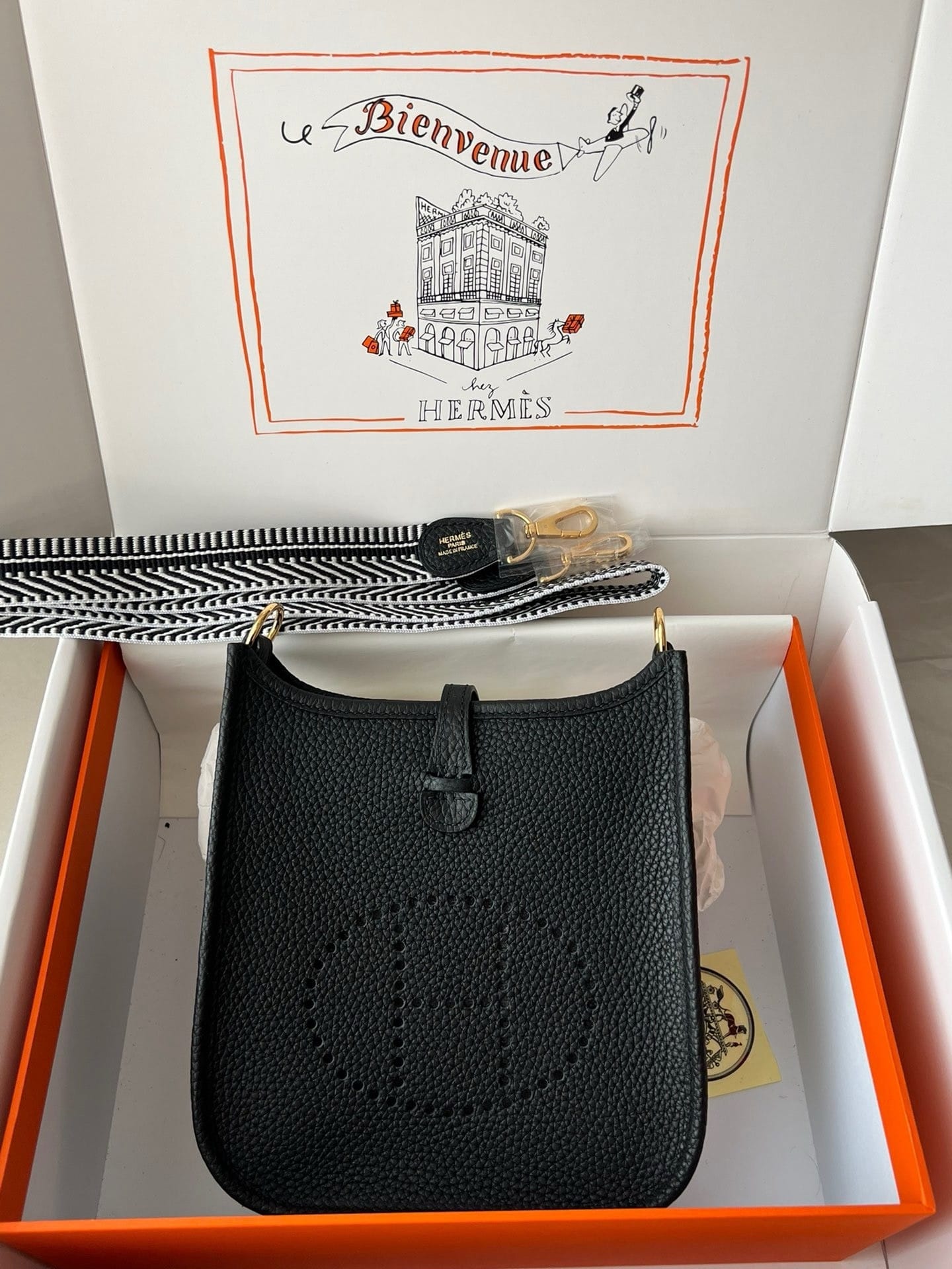 𝖬𝗂𝗇𝗂 𝖤𝗏𝖾𝗅𝗒𝗇𝖾 17𝖢𝗆 Hermes 5