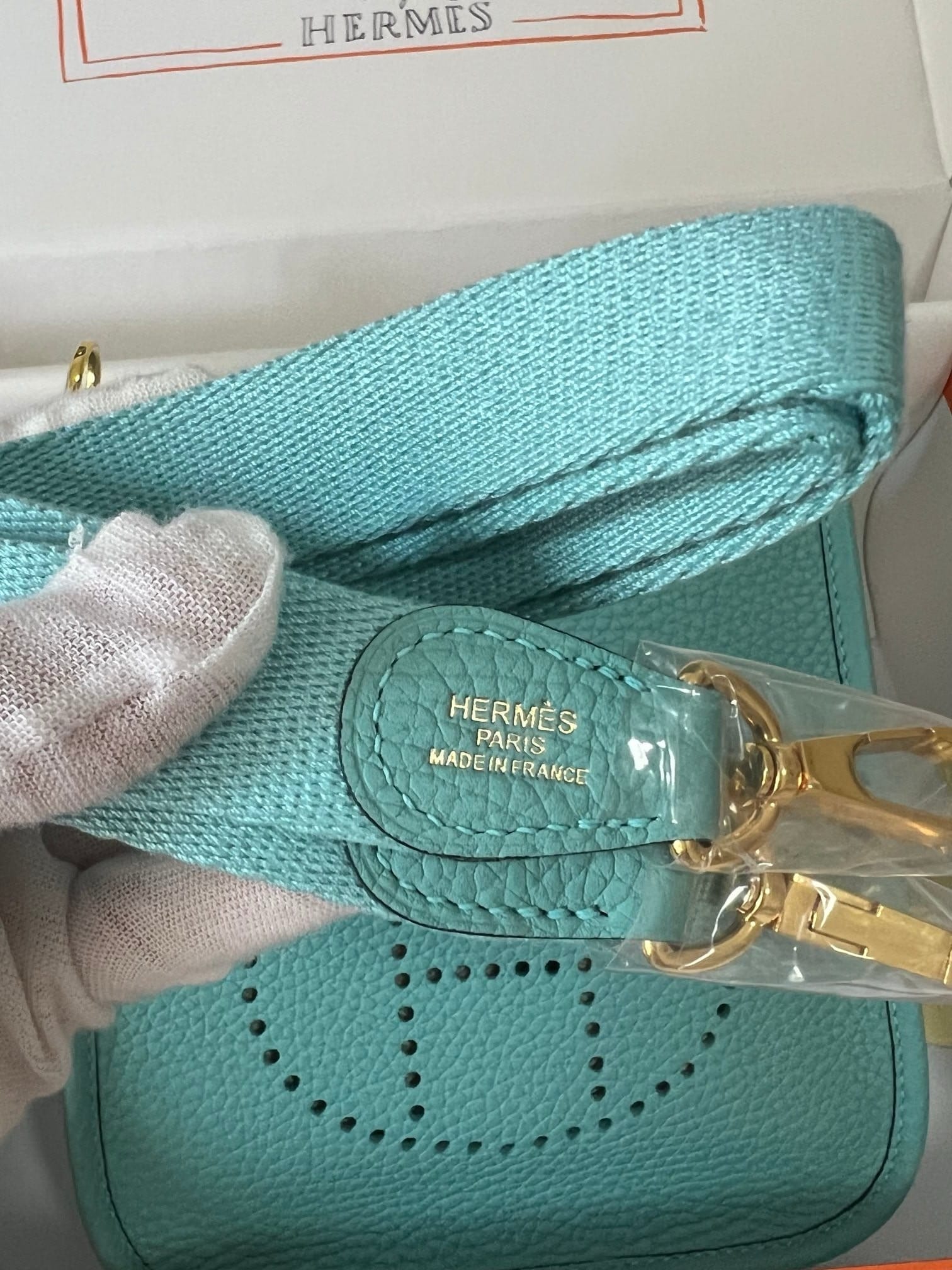 𝖬𝗂𝗇𝗂 𝖤𝗏𝖾𝗅𝗒𝗇𝖾 17𝖢𝗆 Hermes 3