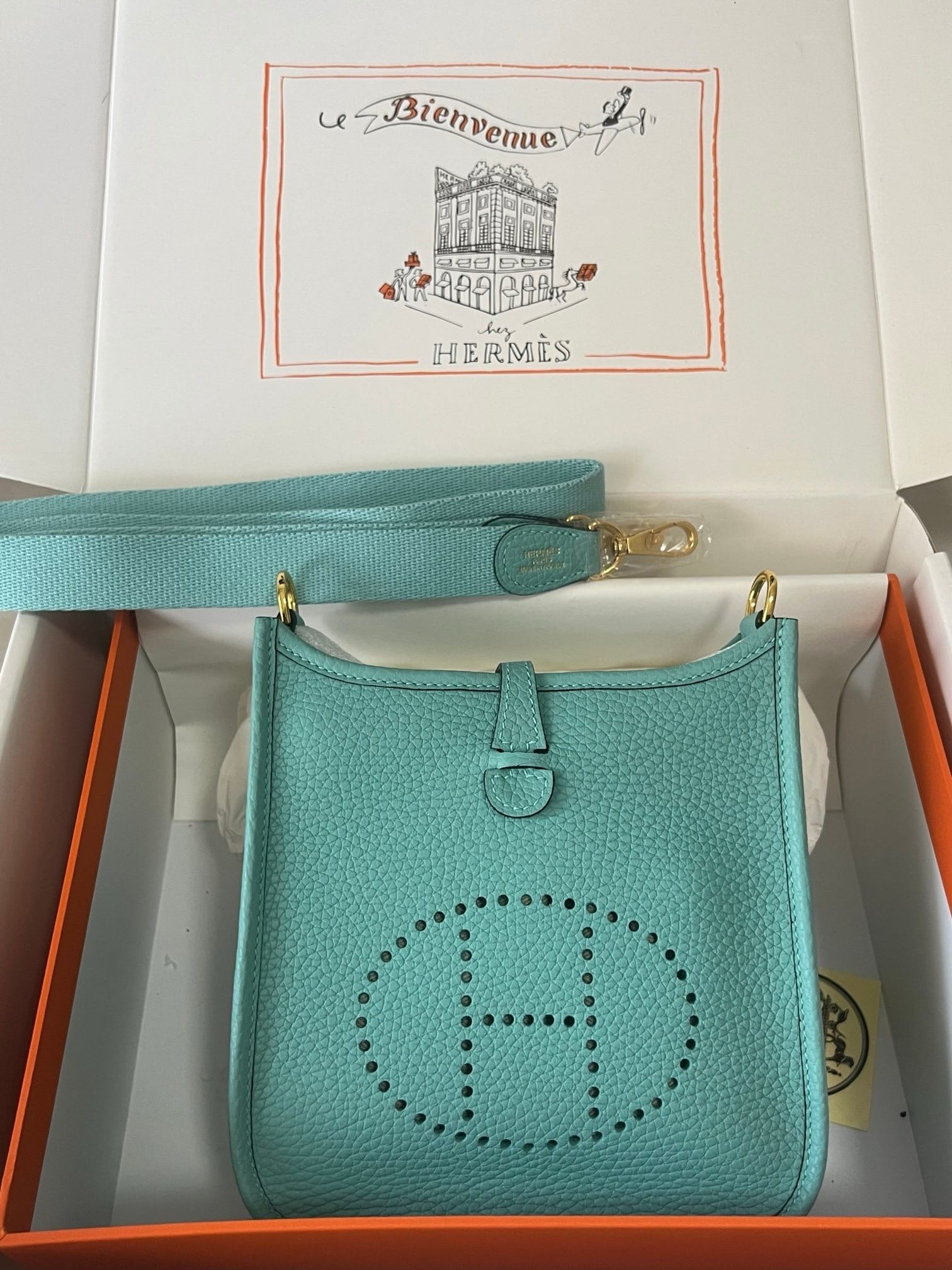 𝖬𝗂𝗇𝗂 𝖤𝗏𝖾𝗅𝗒𝗇𝖾 17𝖢𝗆 Hermes 3