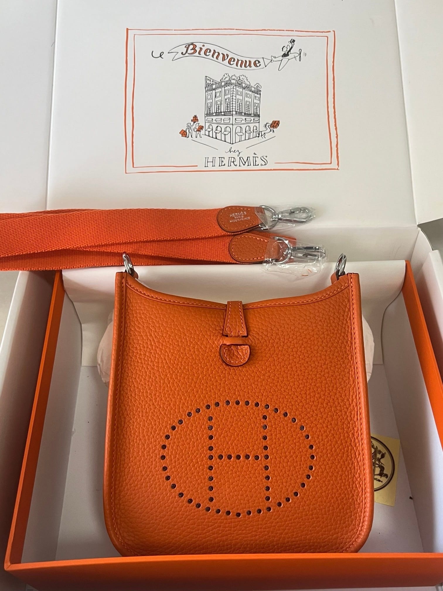 𝖬𝗂𝗇𝗂 𝖤𝗏𝖾𝗅𝗒𝗇𝖾 17𝖢𝗆 Hermes 1