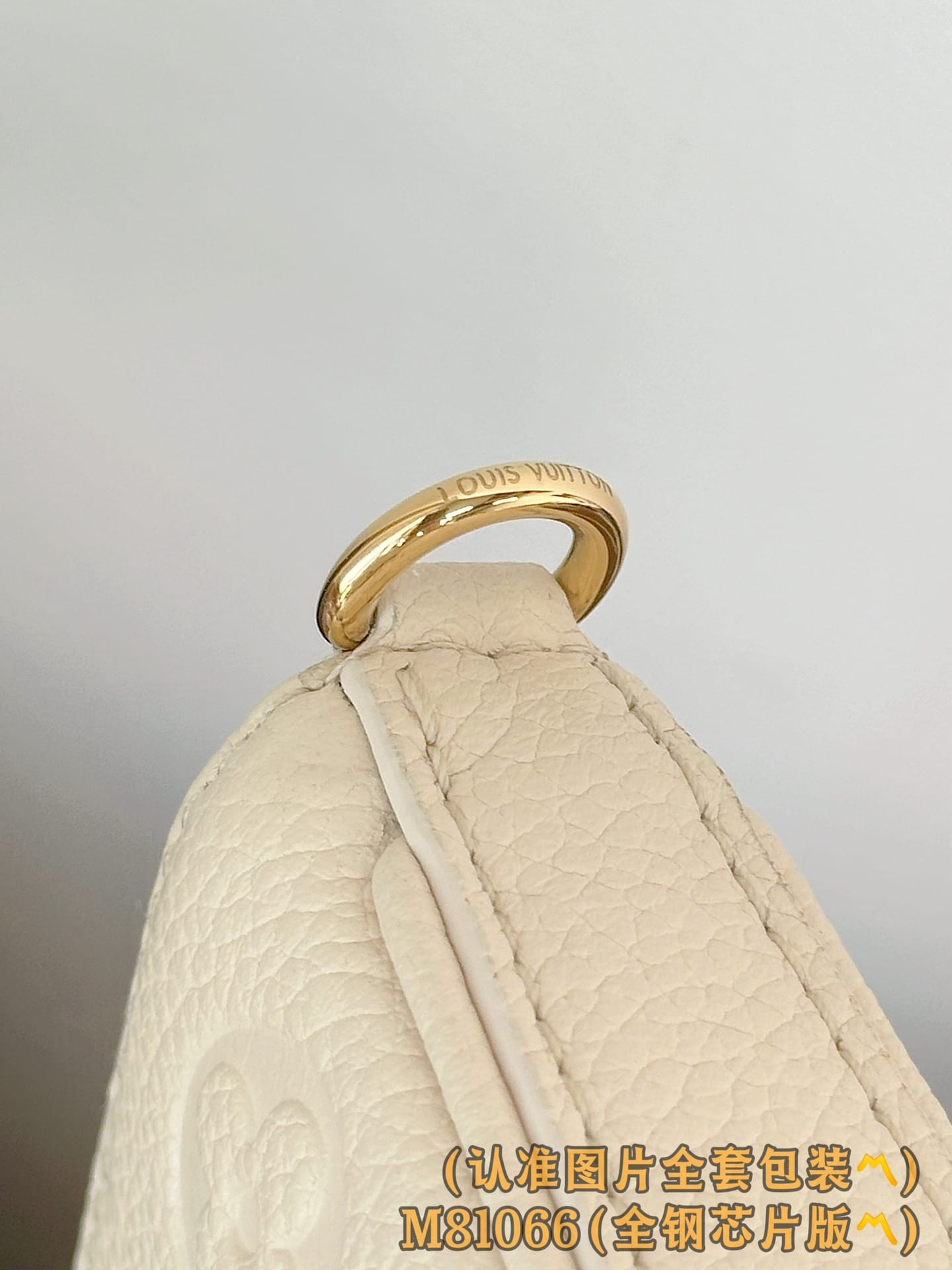 Easy Pouch On Strap M81066.1 Louis Vuitton M81066.1