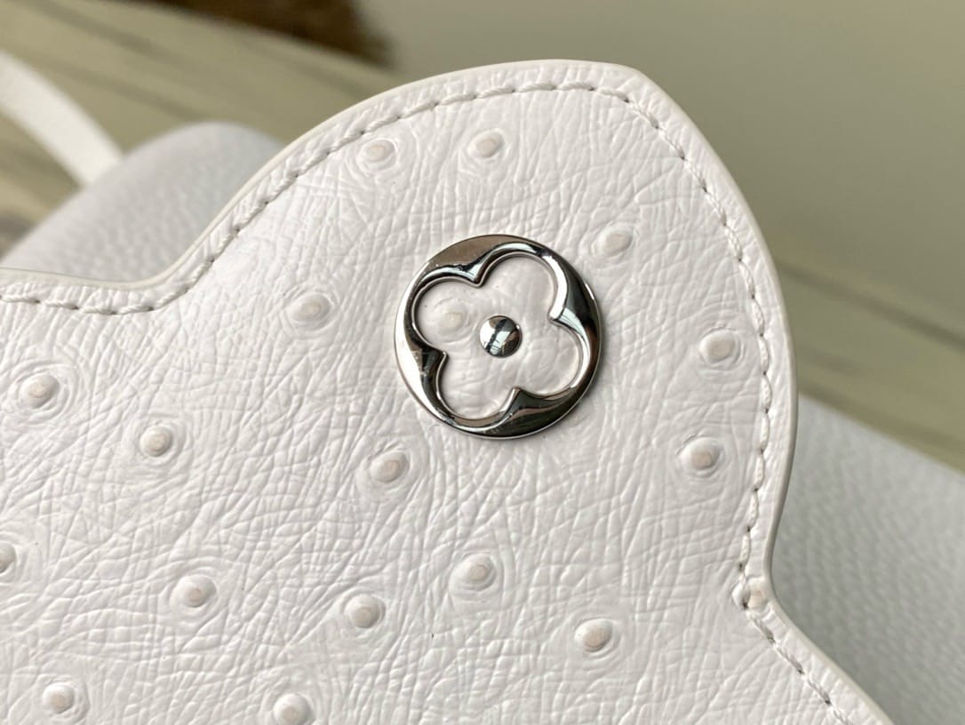 Capucines 21cm Louis Vuitton N82904