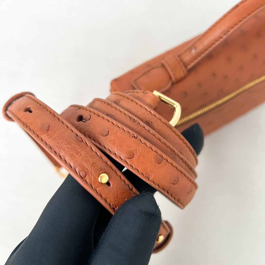 Extra Pocket L19 - карамельный, золотистая фурнитура - страусиная кожа Loro Piana Extra Pocket L19