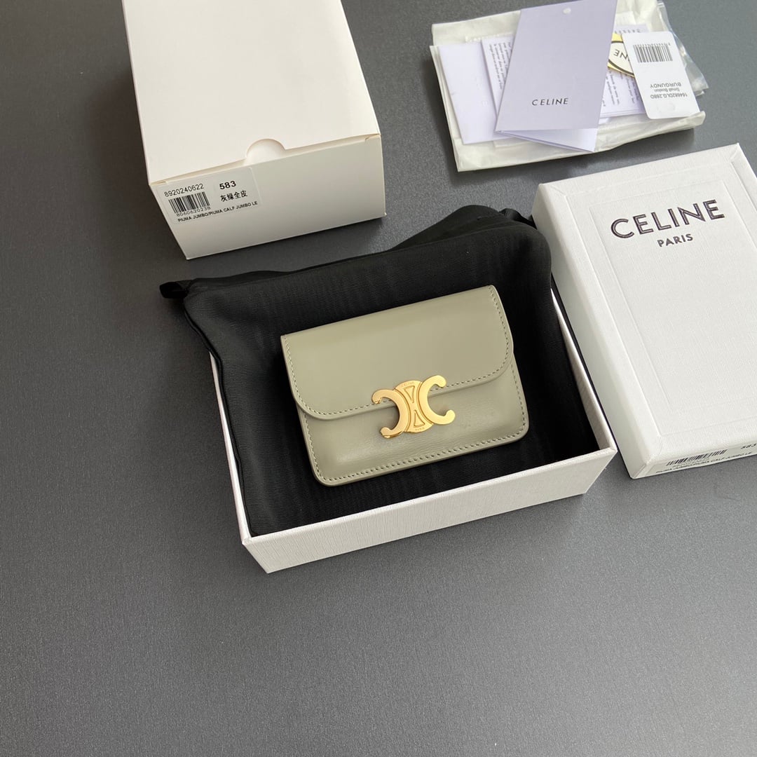 Triomphe Card Holder - 10I582CPJ.04LU - серо-зеленый Celine 10I582CPJ.04LU