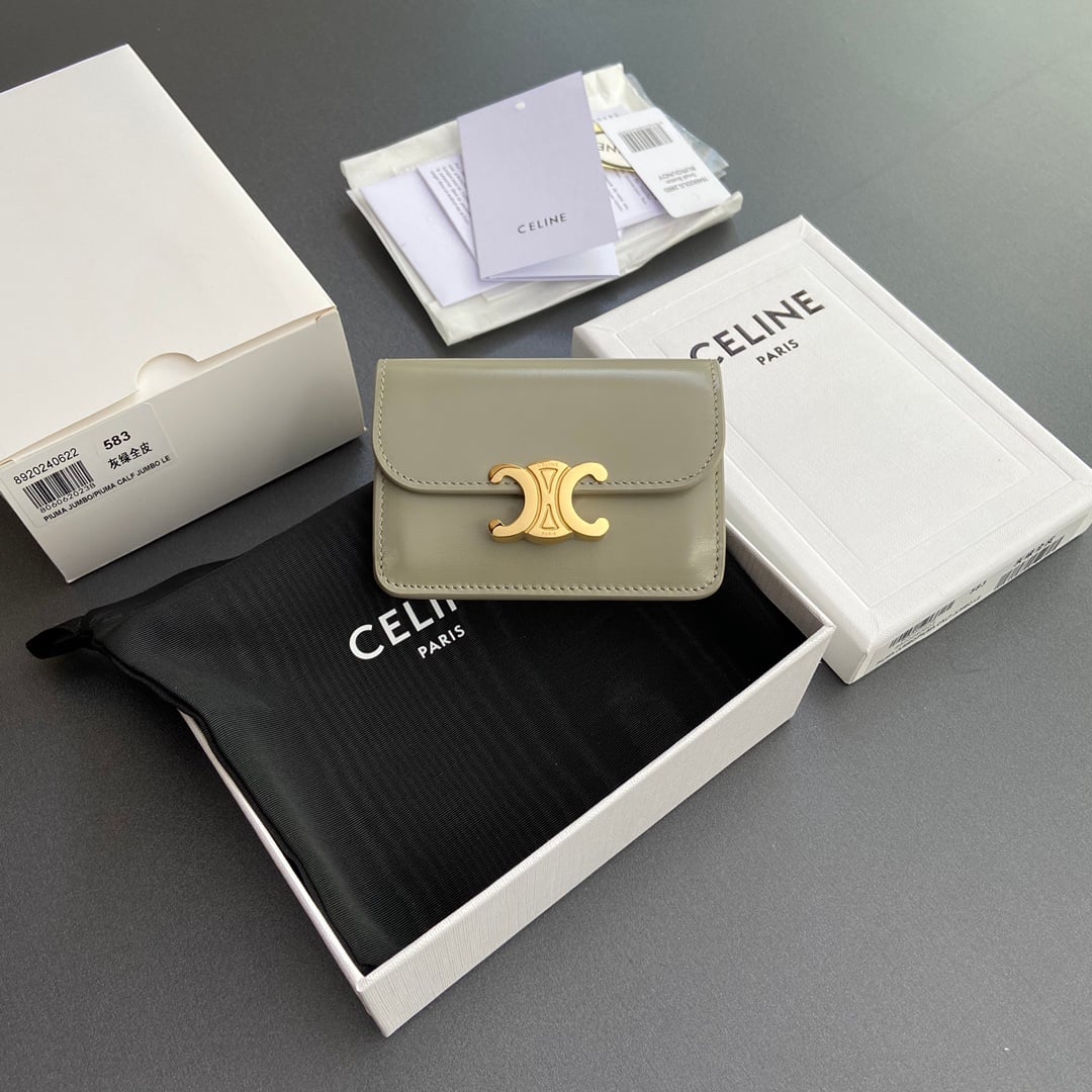 Triomphe Card Holder - 10I582CPJ.04LU - серо-зеленый Celine 10I582CPJ.04LU