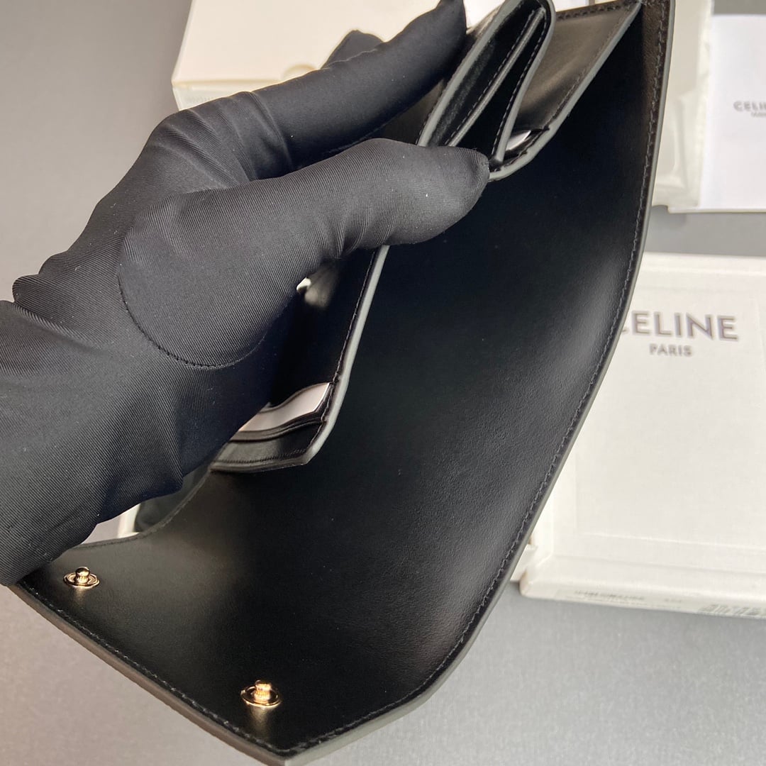 Triomphe Wallet - 10H573BRU.10PI - черный Celine 10H573BRU.10PI