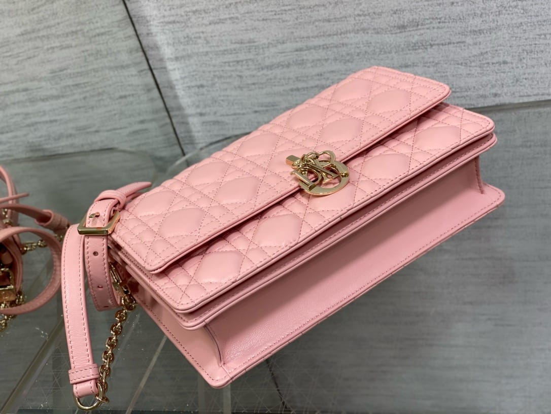 Miss 24cm Dior 1