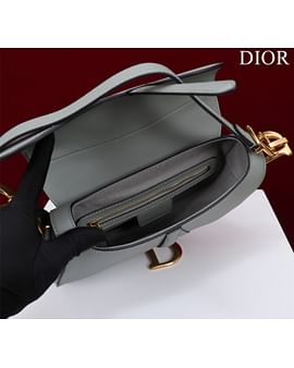 Saddle Dior M0446.2