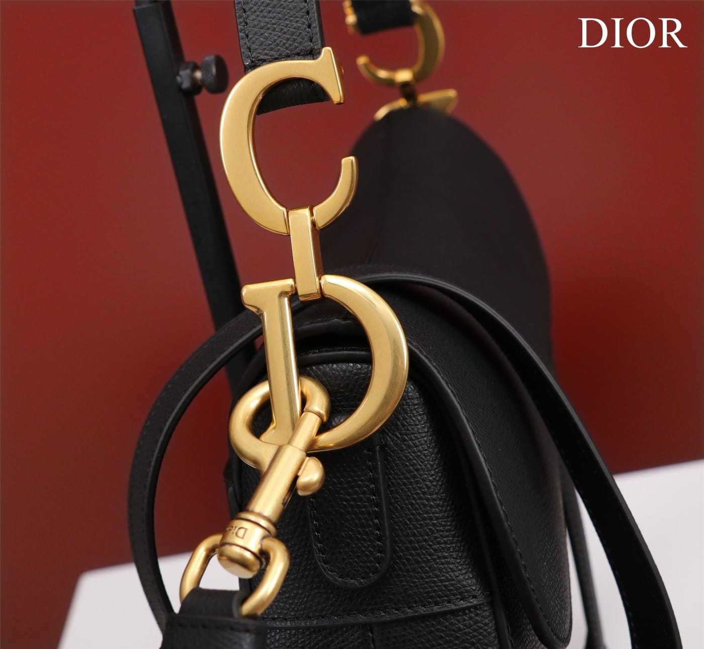 Saddle Dior M0446.3