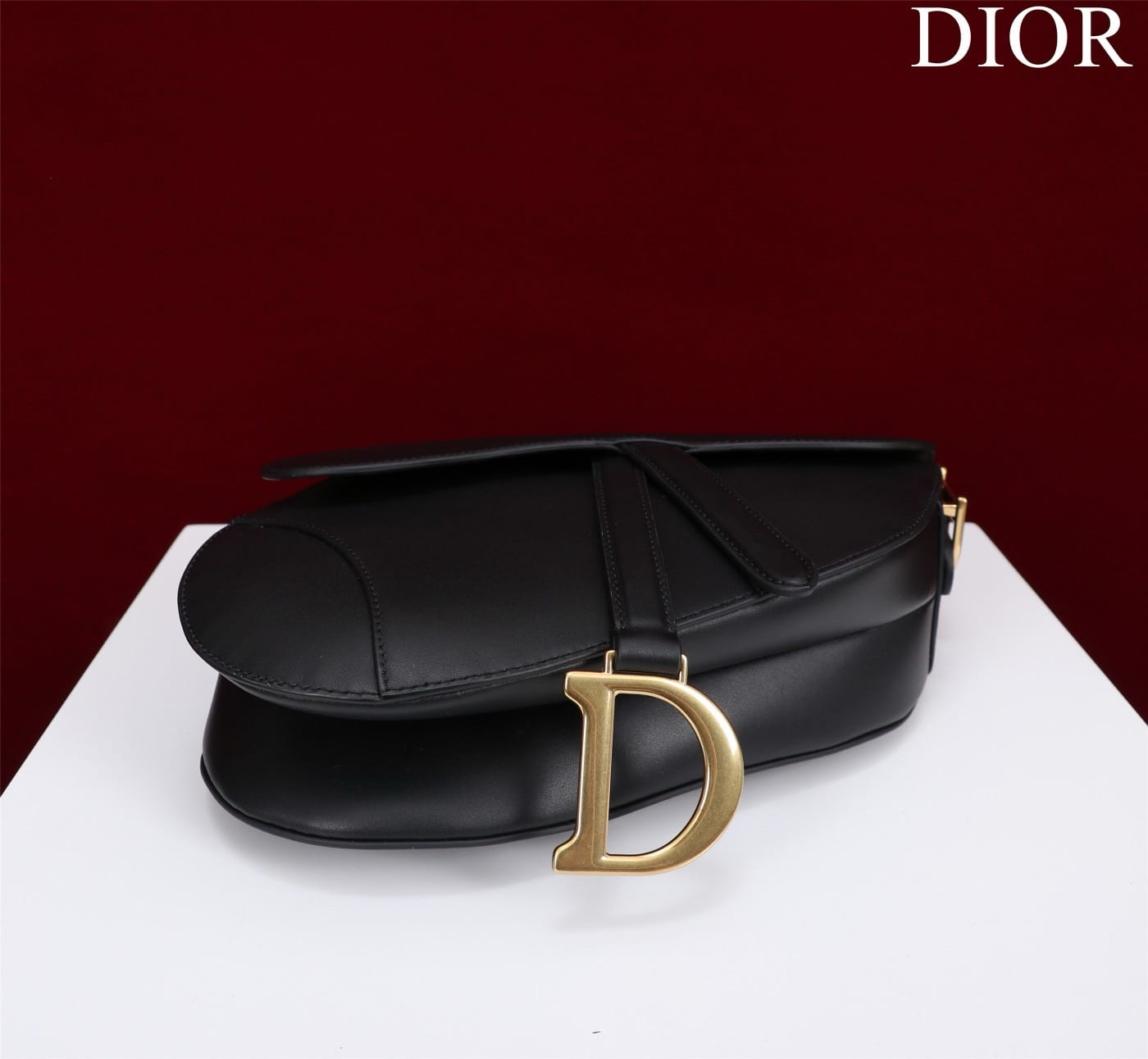 Saddle Dior M0446.4