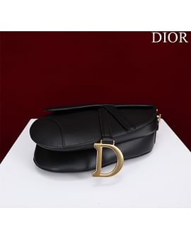 Saddle Dior M0446.4