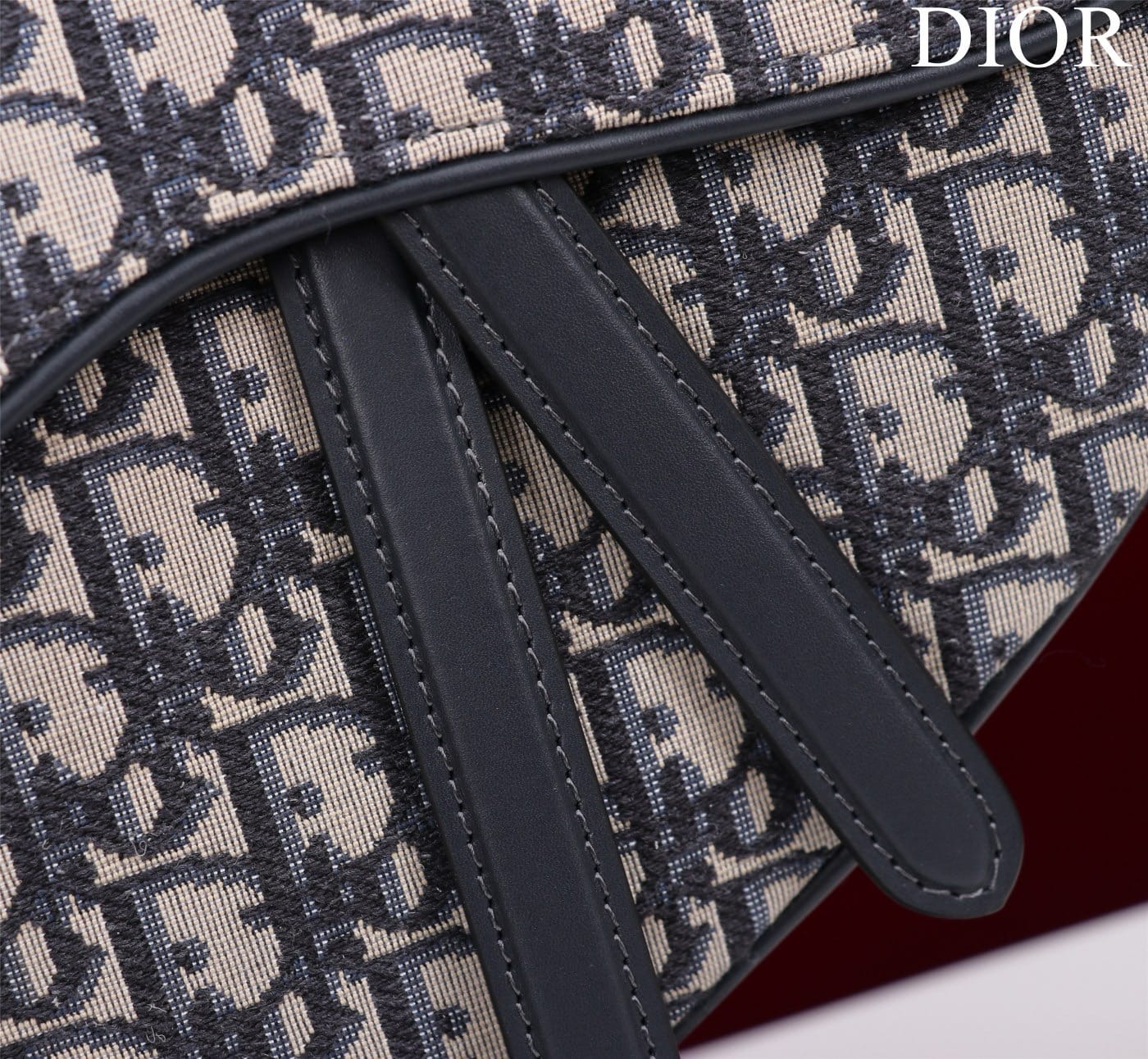 Saddle Dior M0446.7