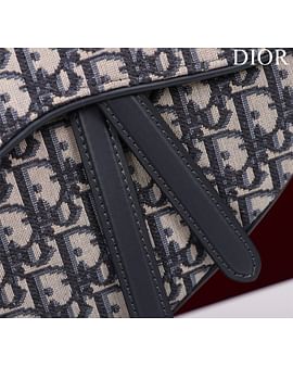 Saddle Dior M0446.7