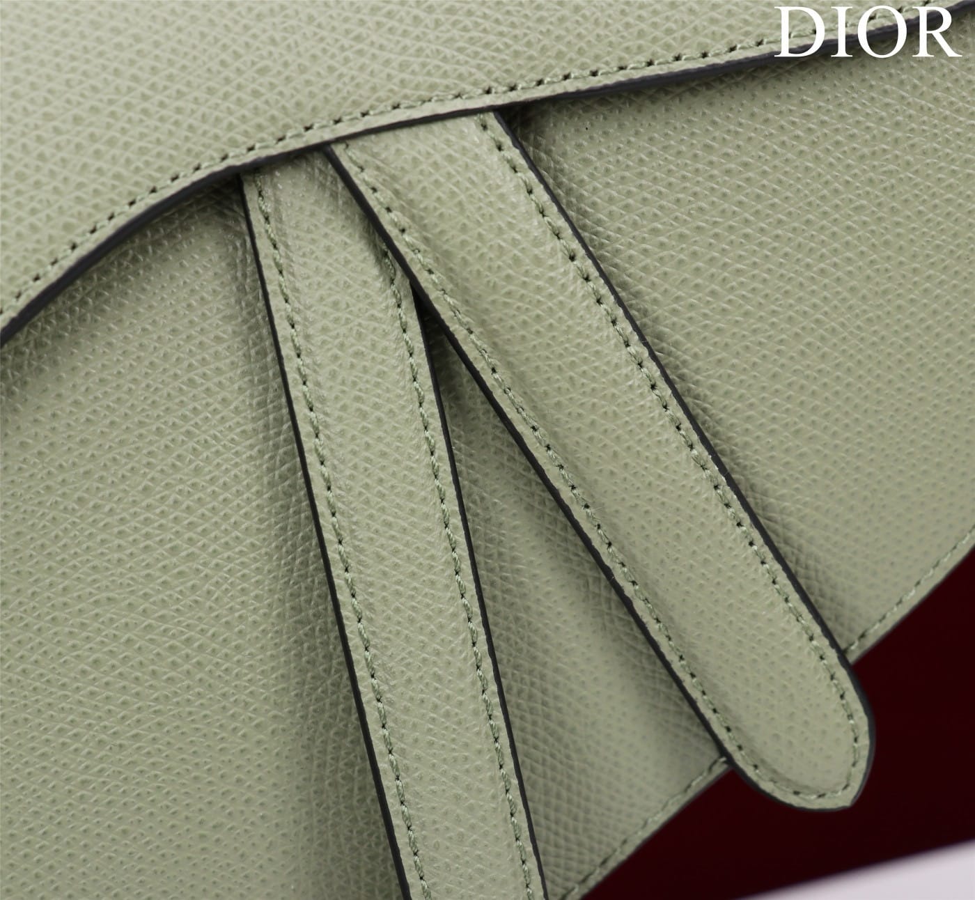 Saddle Dior M0446.6