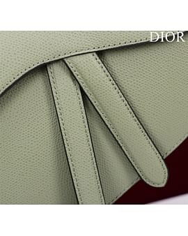 Saddle Dior M0446.6