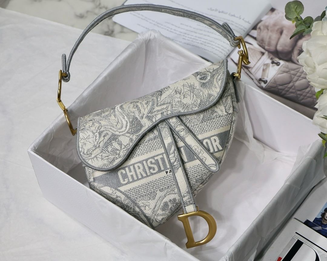 Saddle Dior M0446.17