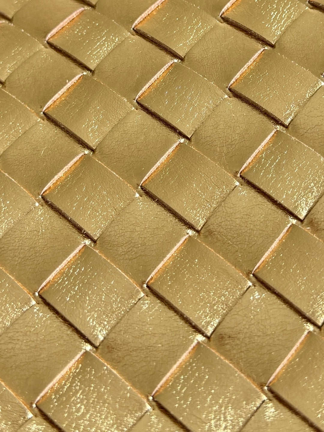 Andiamo Bottega Veneta 743568.A4