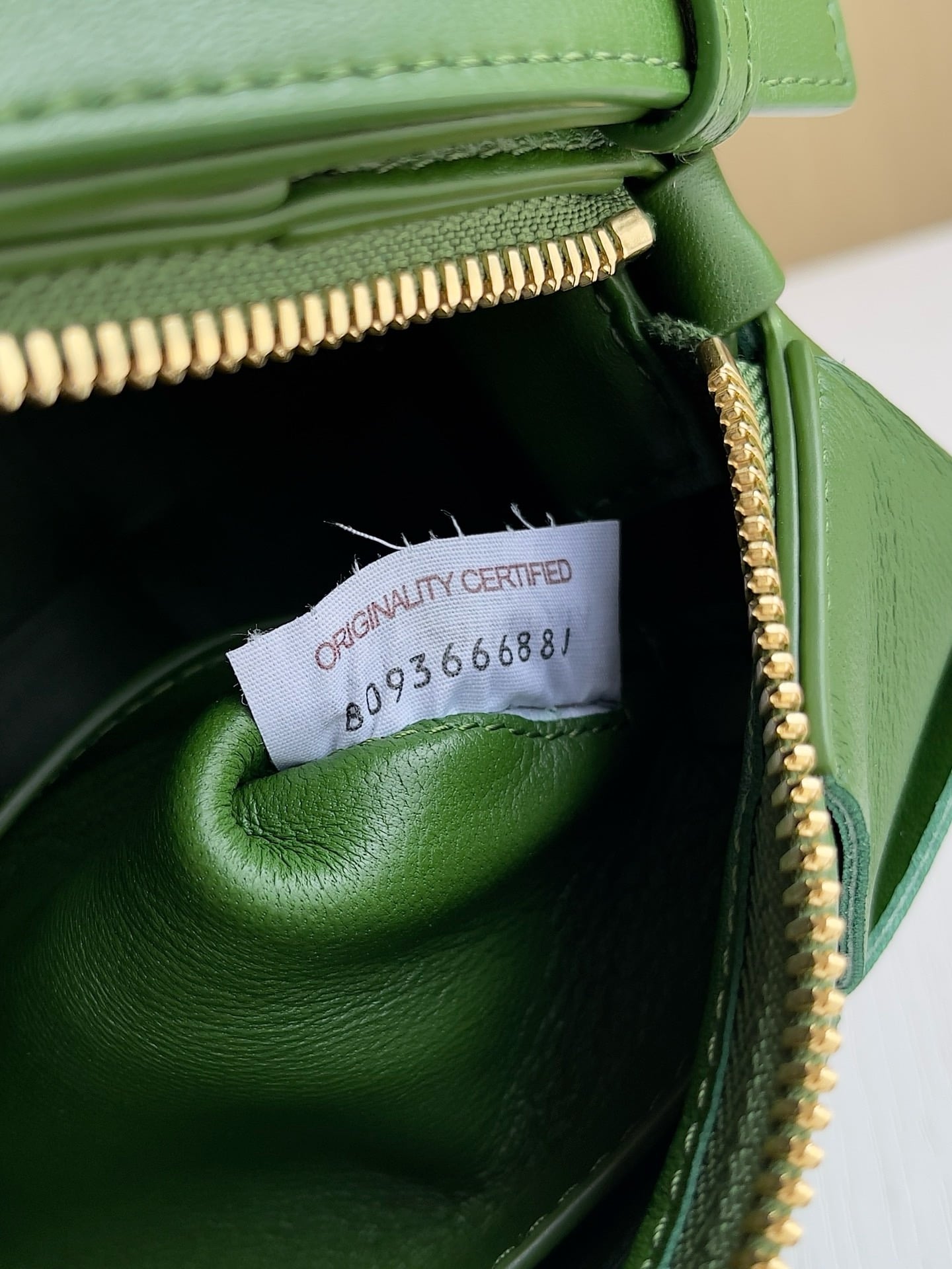 Brick Cassette Bottega Veneta 729166.A14