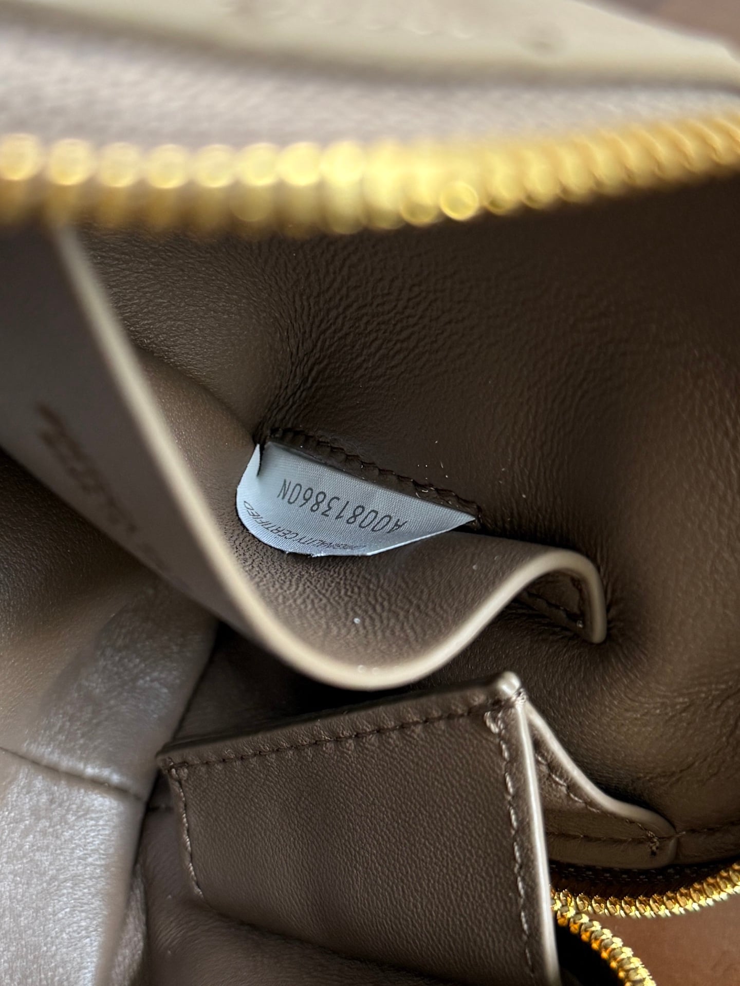 Concert Pouch - зеленый Bottega Veneta 794258.A10