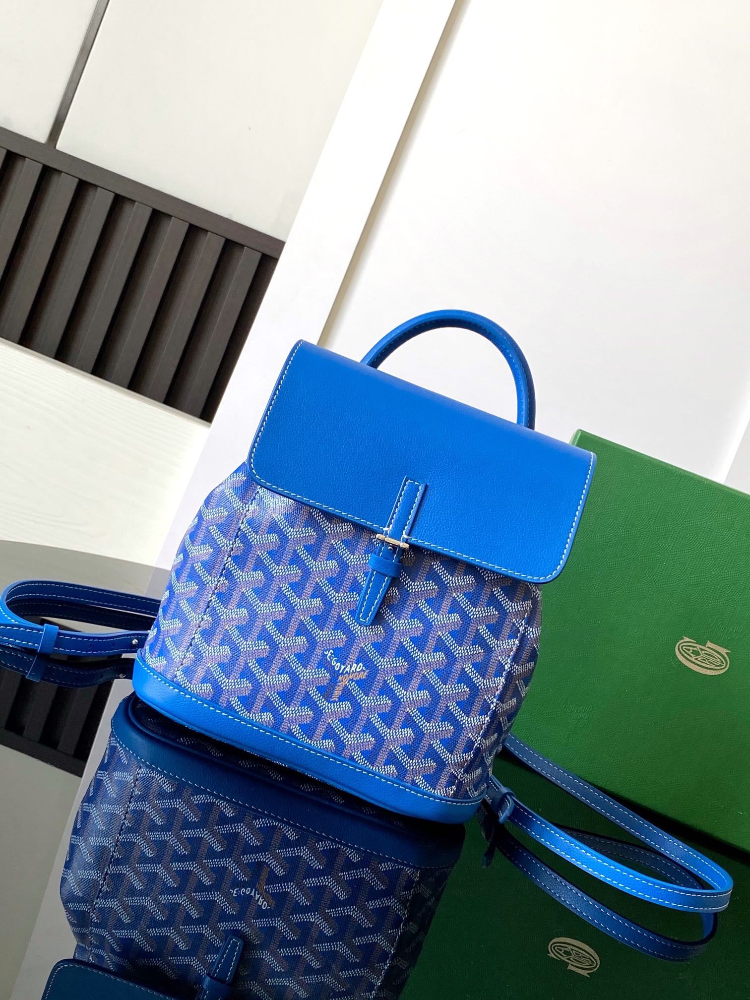 Alpin Mini Goyard MAE020195.A3