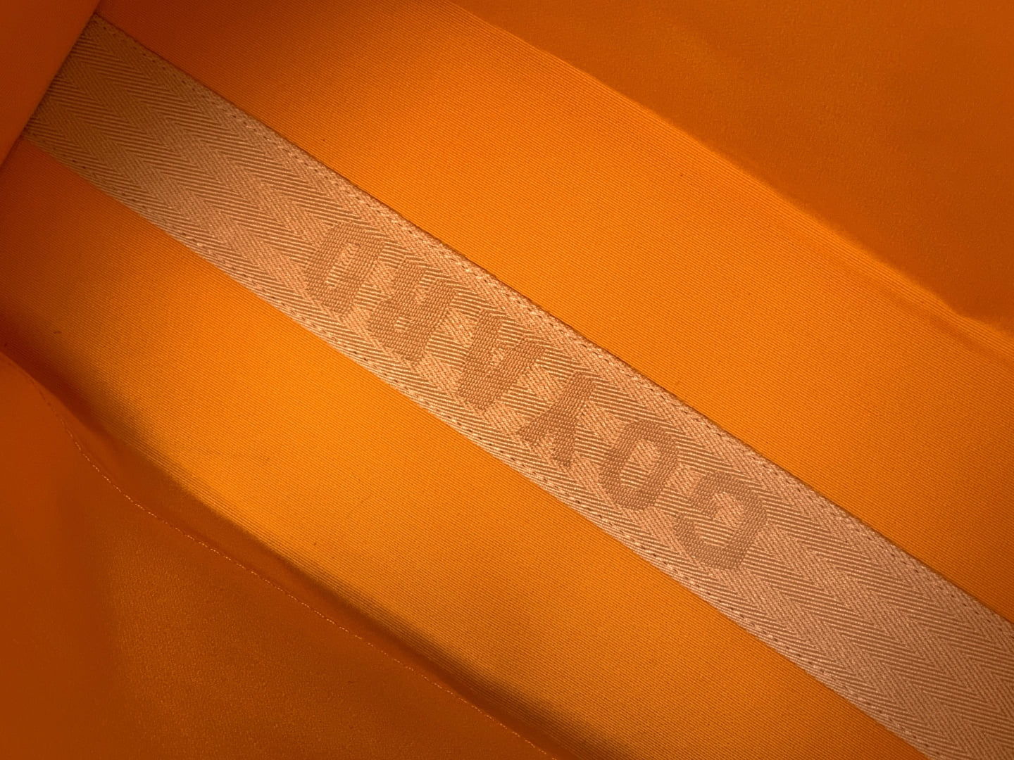 Saint Léger Goyard 020318.A13