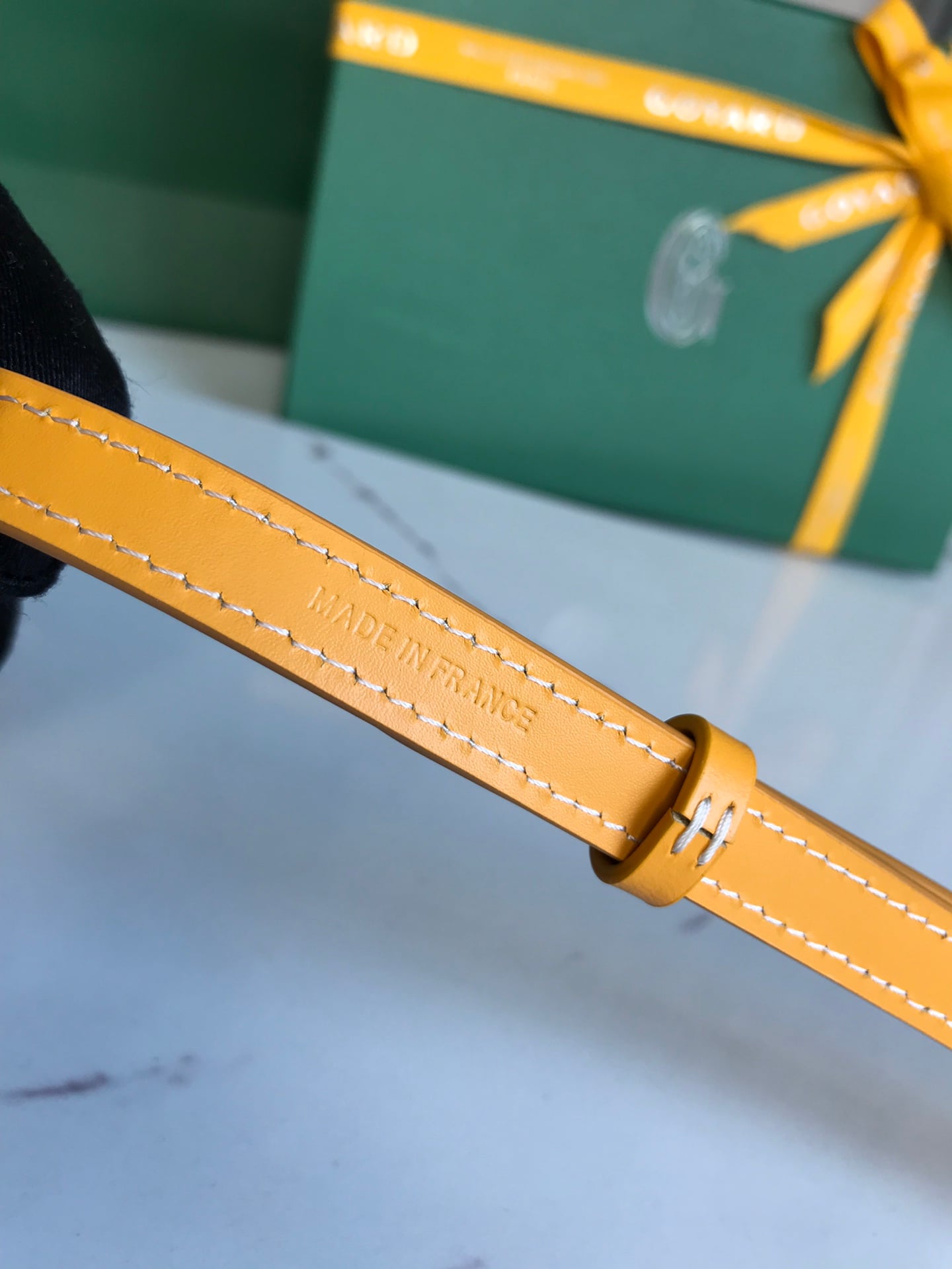 Montmartre Case Goyard 020122.A7