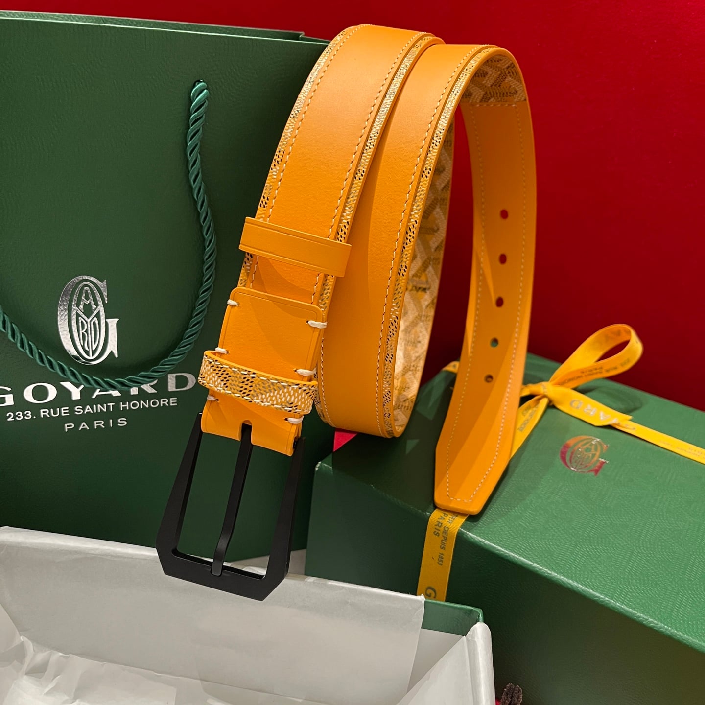 Belt Goyard GY-93035069.A26