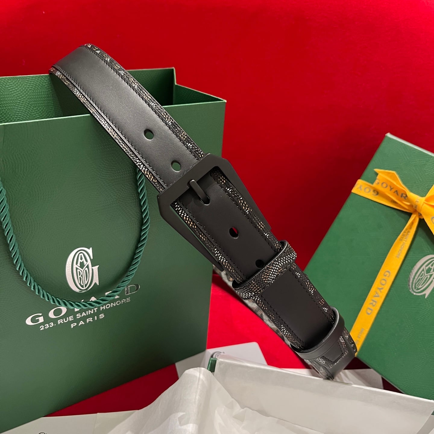 Belt Goyard GY-93035069.A43