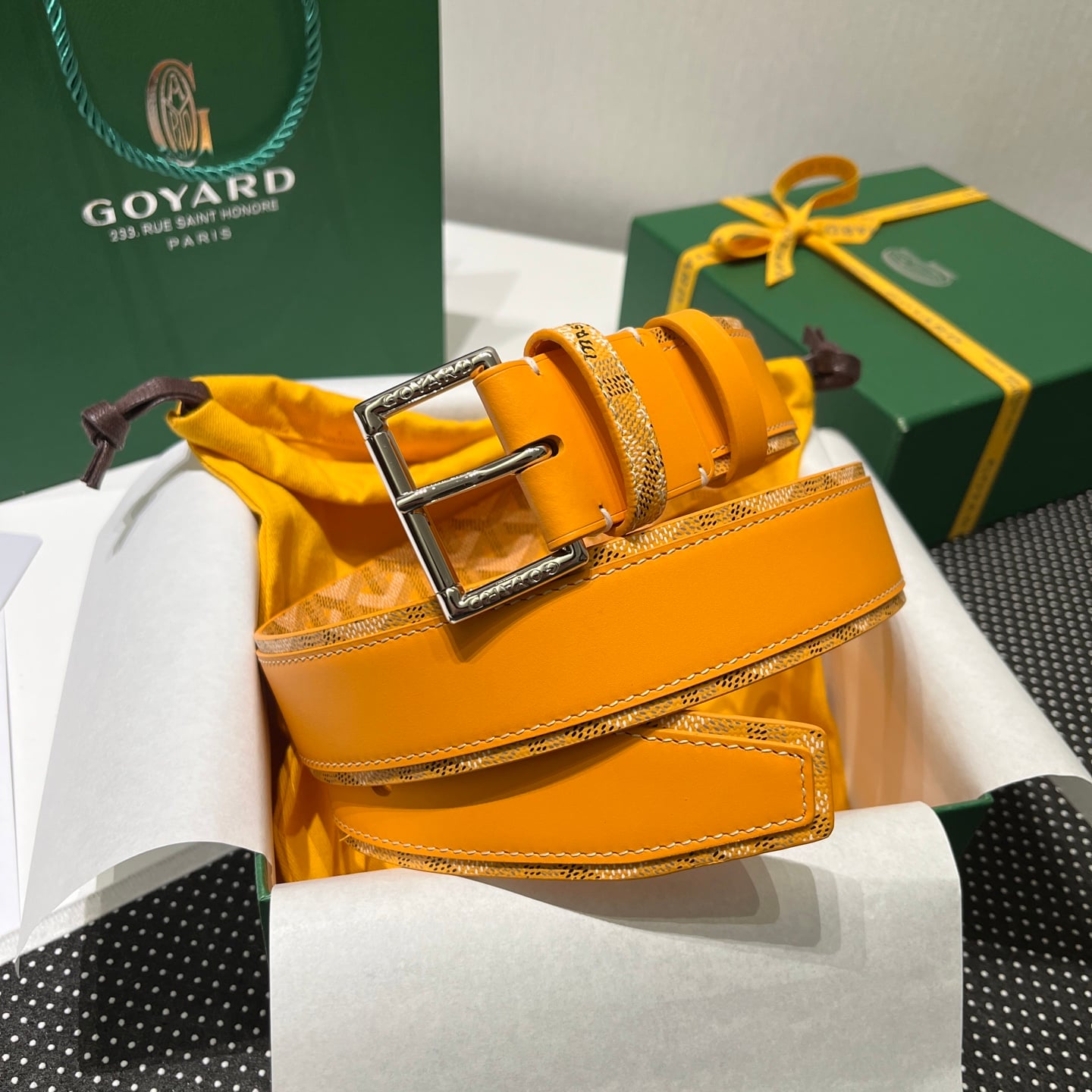 Belt Goyard GY-93035069.A79
