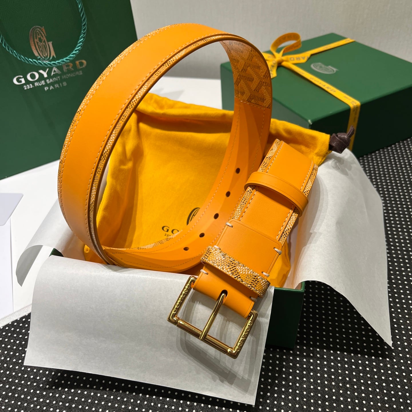 Belt Goyard GY-93035069.A79
