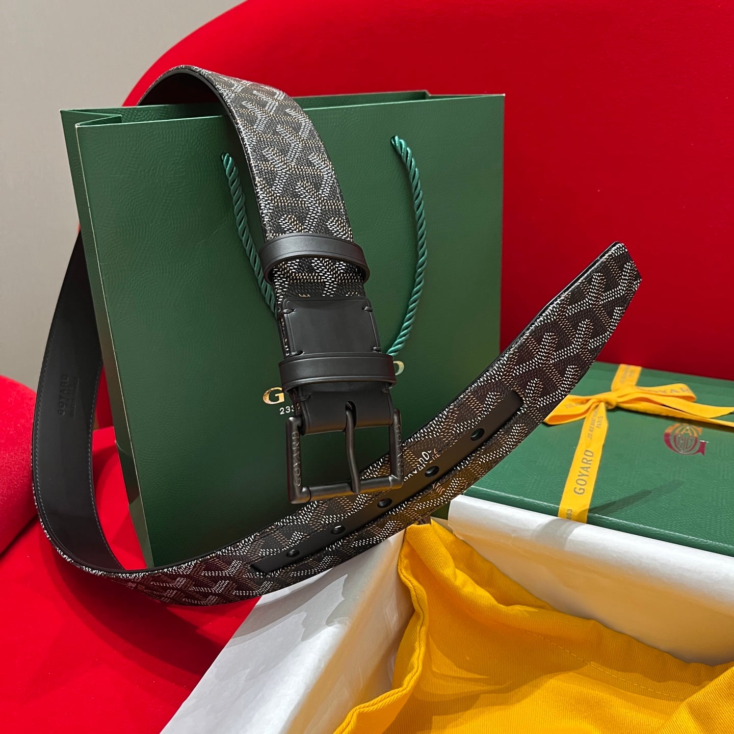 Belt Goyard GY-93035069.A116