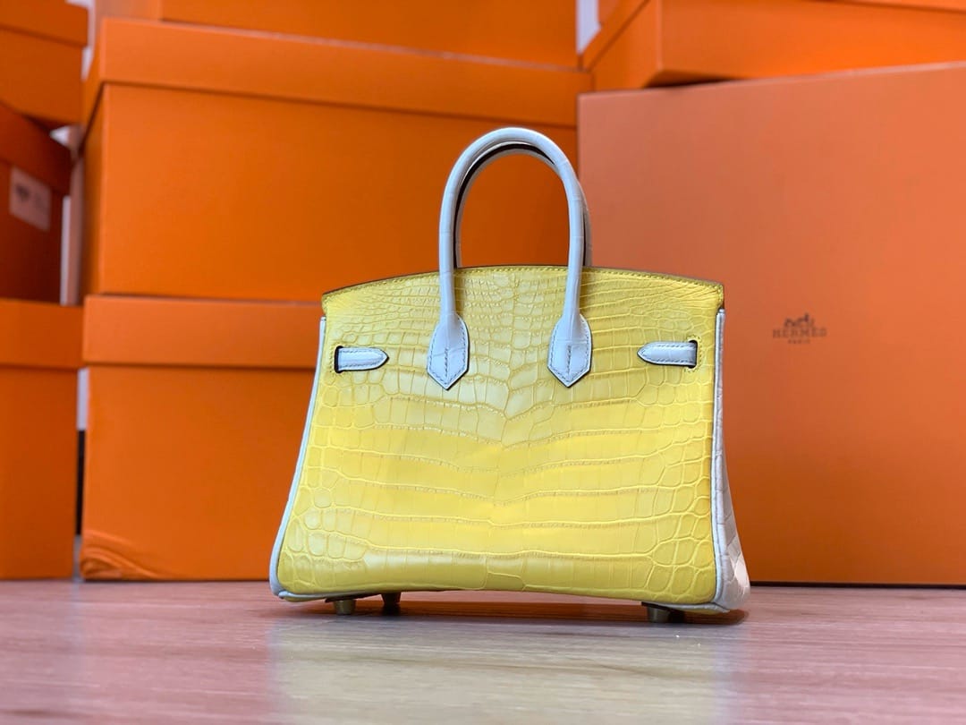 Birkin Croco Hermes BK.2