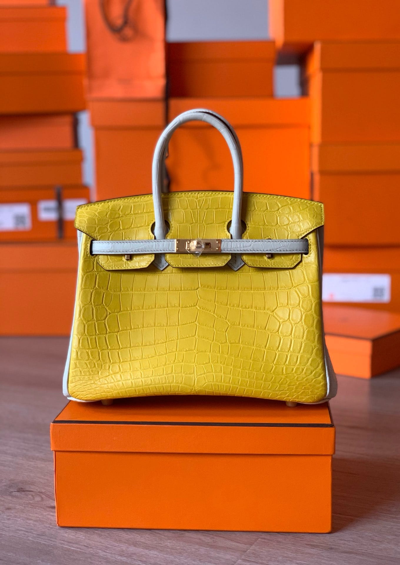 Birkin Croco Hermes BK.2