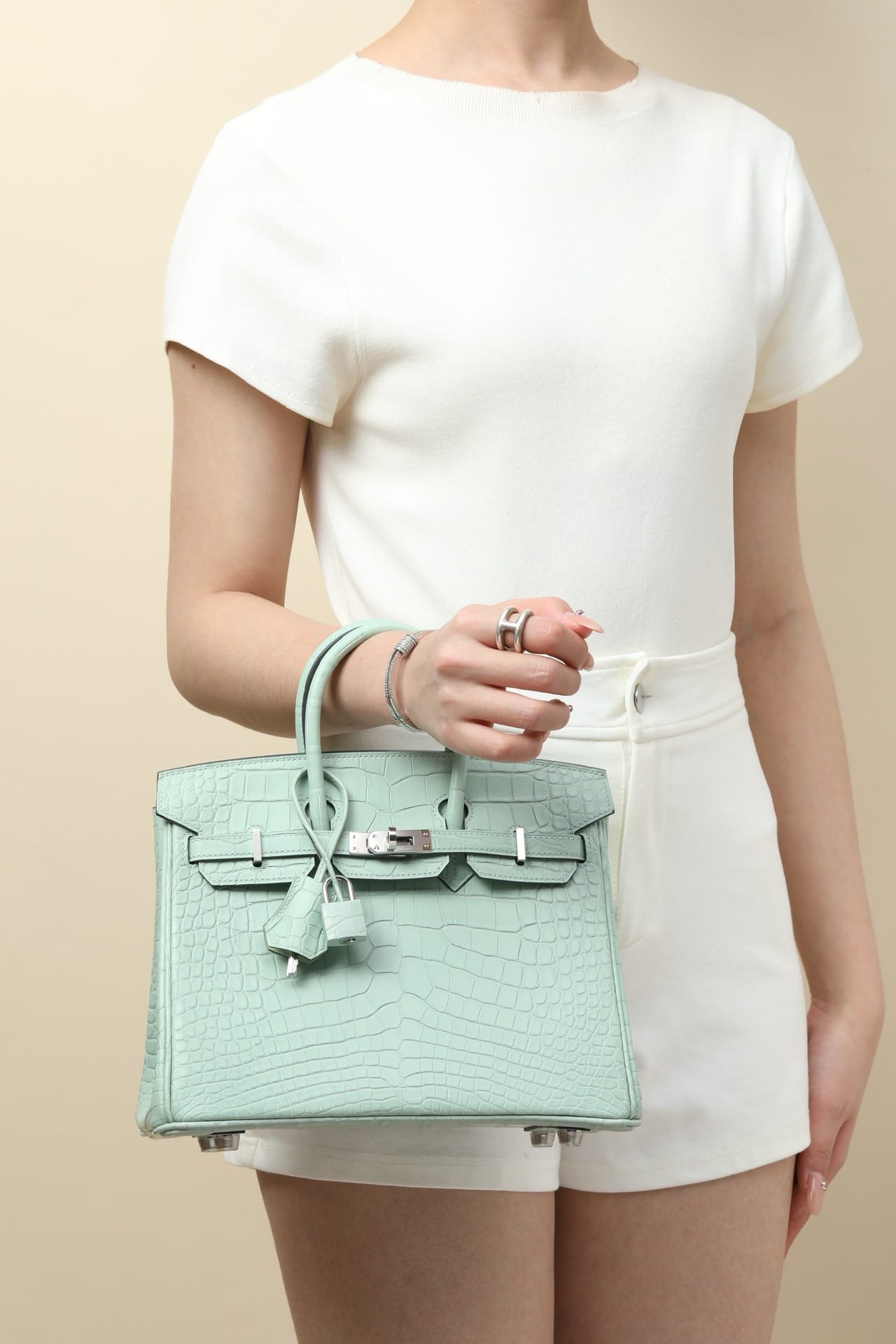 Birkin Croco Hermes BK6u.silver