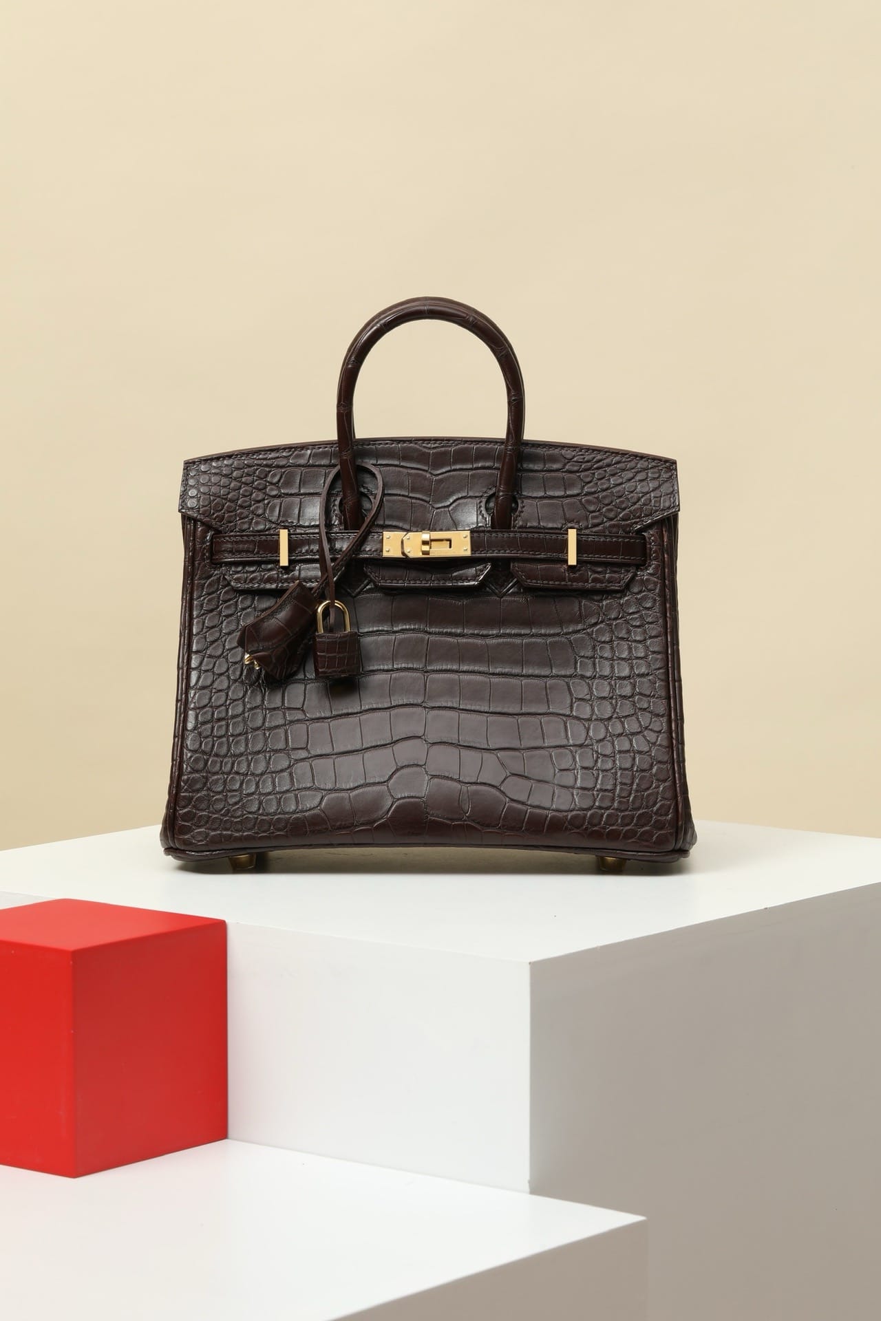 Birkin Croco Hermes BK5.10