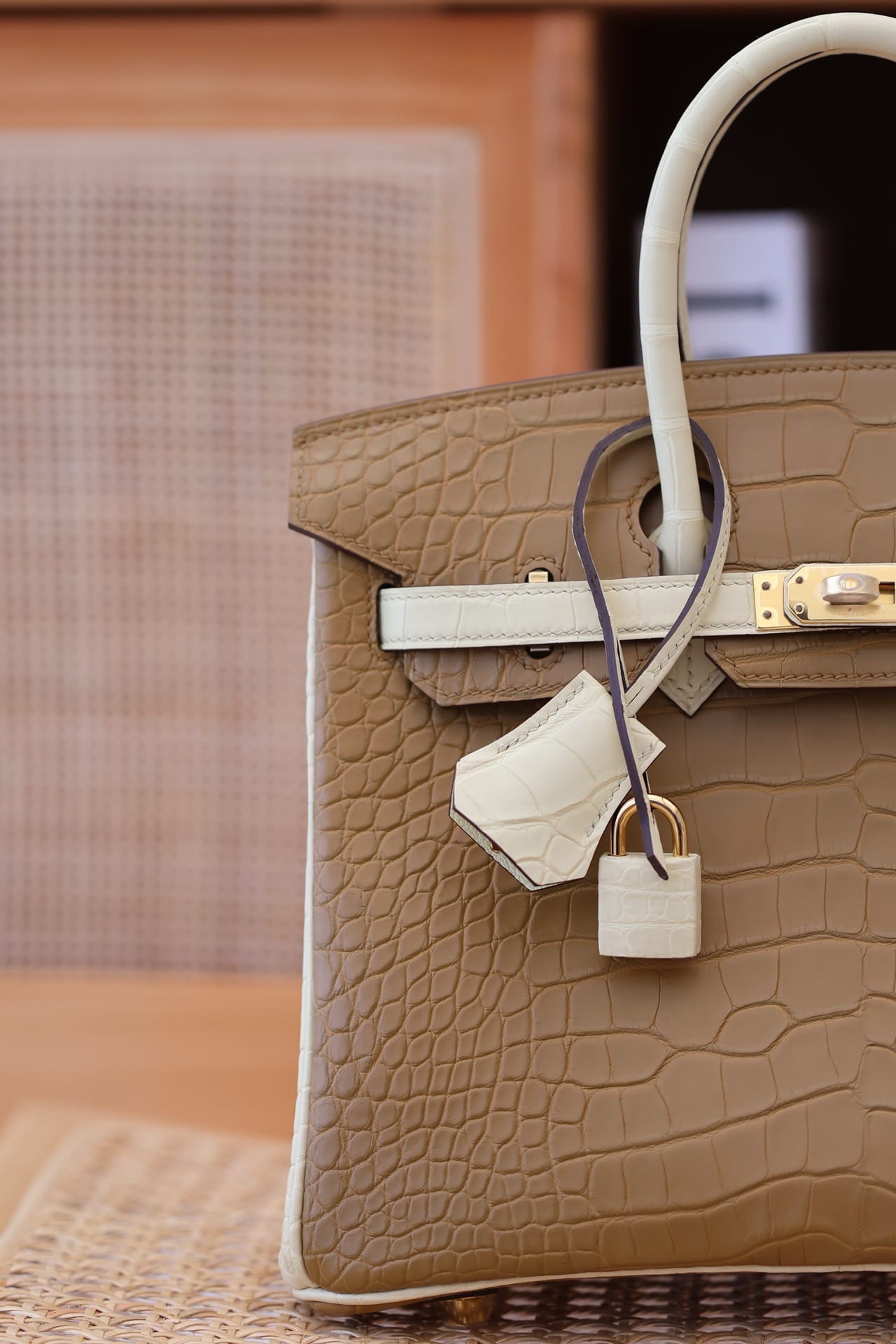 Birkin Croco Hermes 2h/y1