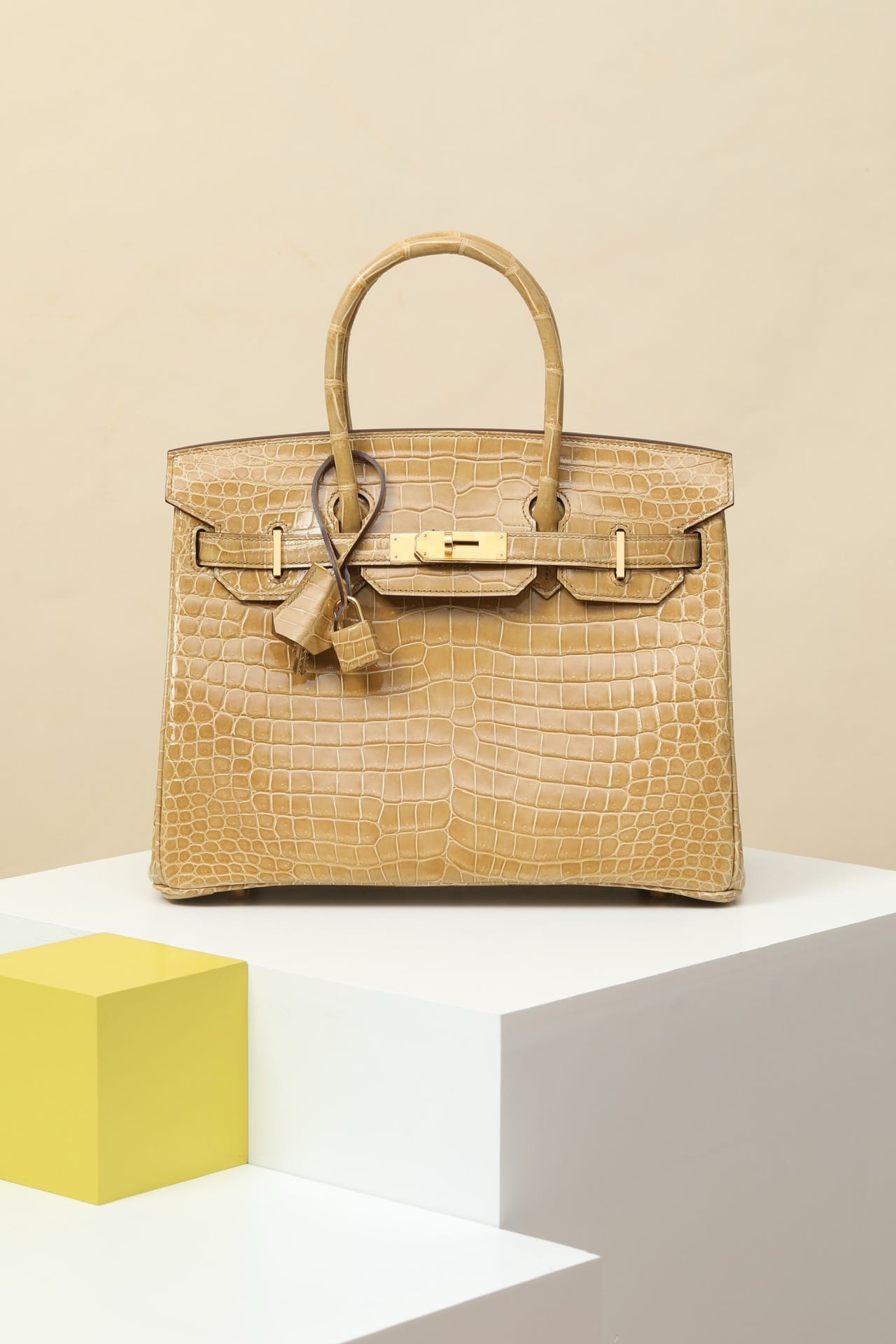 Birkin Croco Hermes 1L